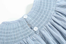 Load image into Gallery viewer, Blue Pinstripe Mallard Duck Smocked Bishop Dress