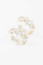 Load image into Gallery viewer, Carraway Hoop Earrings - Abbies Place