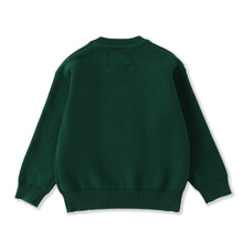 Load image into Gallery viewer, Green Santa Christmas Sweater