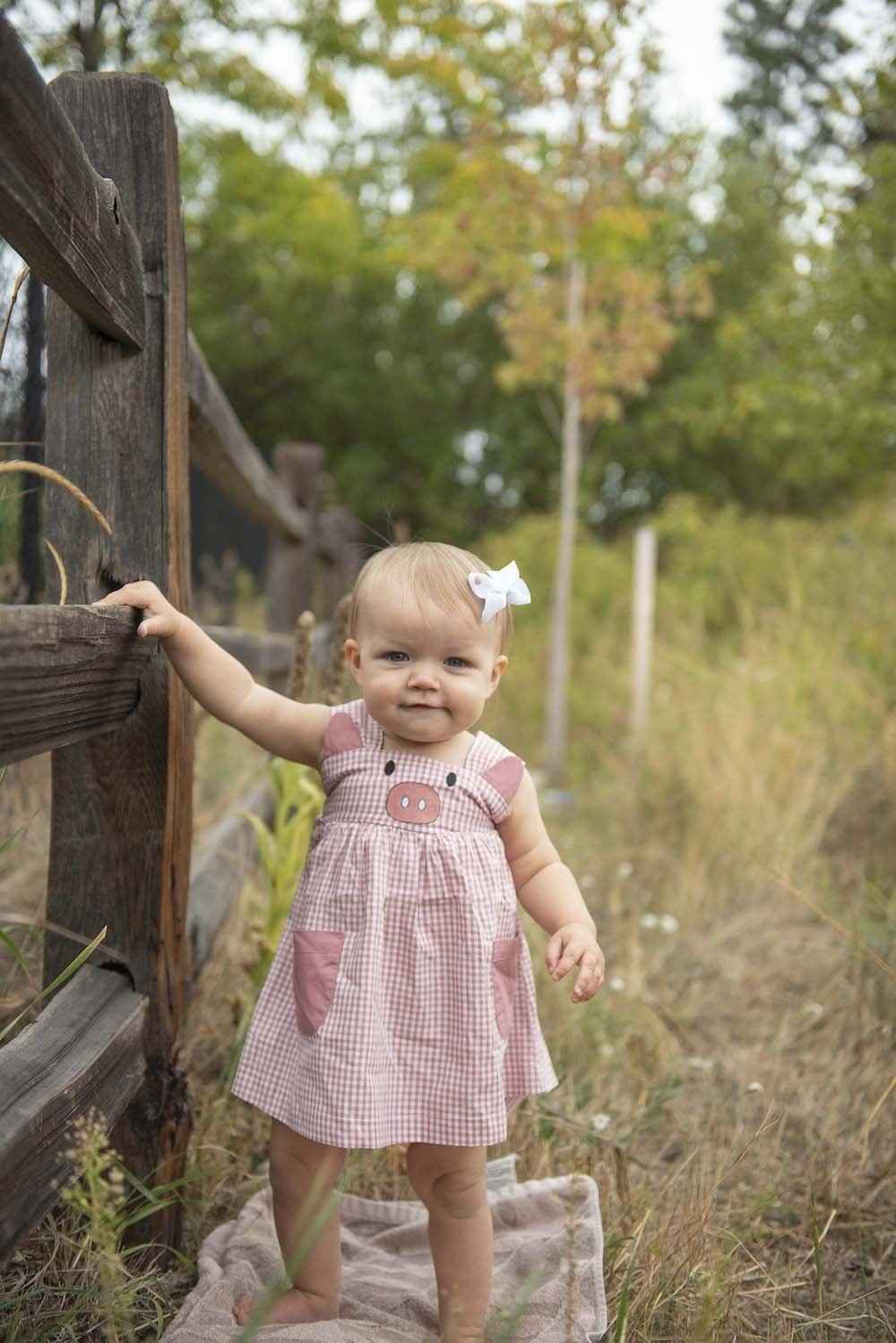 Rose Gingham Little Piggy Sleeveless A-Line Dress - Abbies Place