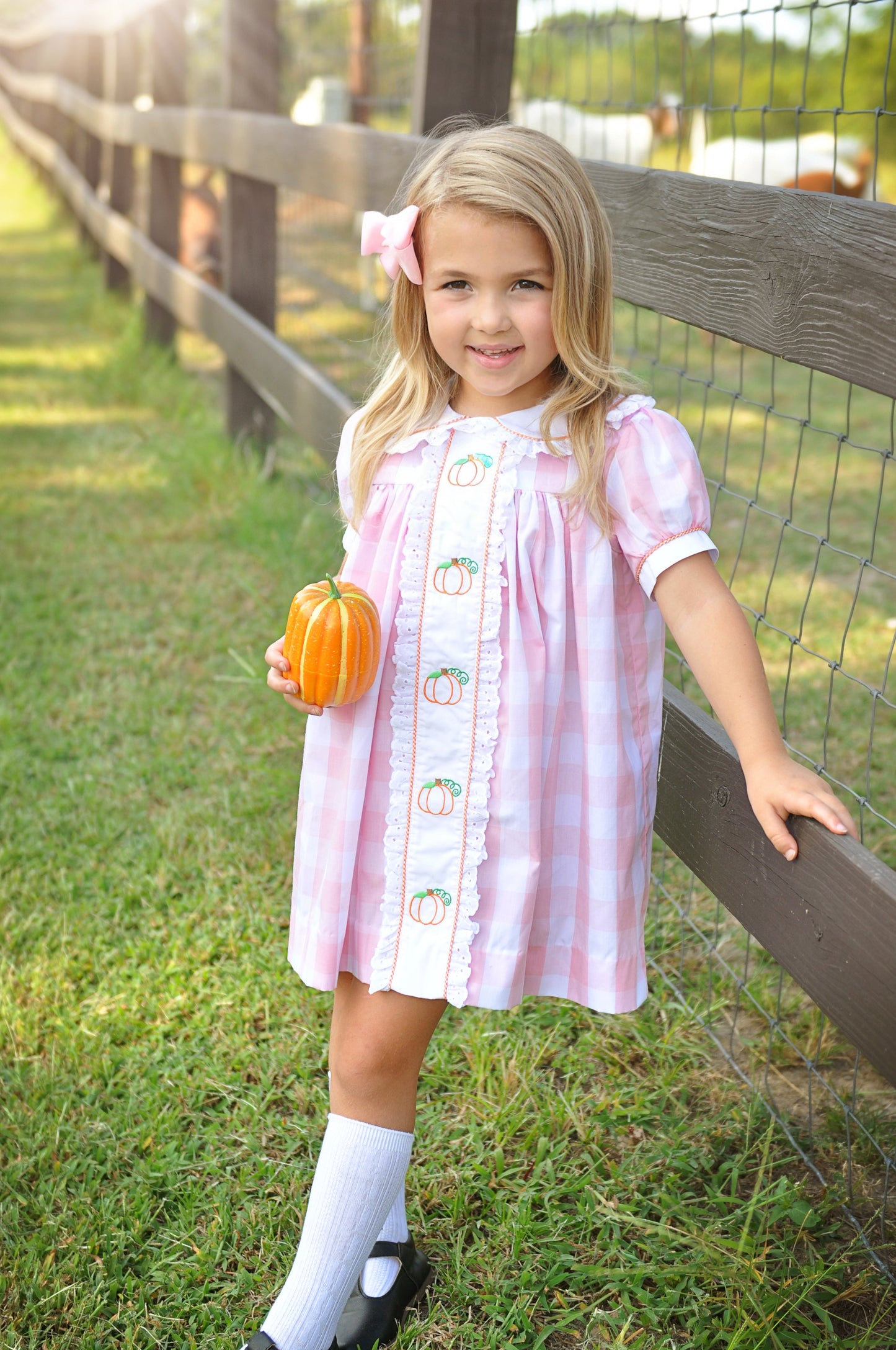 Proper Pumpkins Pink Gingham A-Line Dress with Pumpkin Embroidery
