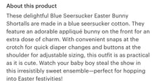 Load image into Gallery viewer, Blue Seersucker Easter Bunny Shortalls - Image #3
