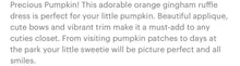 Load image into Gallery viewer, Orange Gingham Ruffle Pumpkin Dress - Image #2
