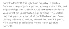 Load image into Gallery viewer, Light Blue Seersucker Pumpkin A-Line Dress - Image #3
