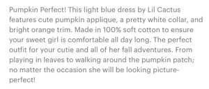 Light Blue Seersucker Pumpkin A-Line Dress - Image #3