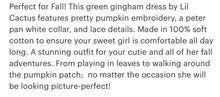 Load image into Gallery viewer, Green Gingham Pumpkin Peter Pan Collar Dress - Image #2
