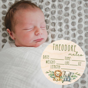 Birth Announcement Sign for Hospital - Welcome Baby Sign - Baby Boy Announcement Sign for Hospital - Baby Announcement Sign - Personalized Birth Stats Wood Announcement - Newborn Hospital Sign