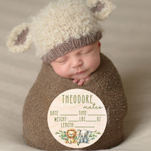 Load image into Gallery viewer, Birth Announcement Sign for Hospital - Welcome Baby Sign - Baby Boy Announcement Sign for Hospital - Baby Announcement Sign - Personalized Birth Stats Wood Announcement - Newborn Hospital Sign
