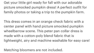 Picture Smocked Pumpkin Dress - Image #2