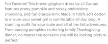 Load image into Gallery viewer, Light Brown Gingham Pumpkin Turkey Smocked Bishop Dress - Image #3
