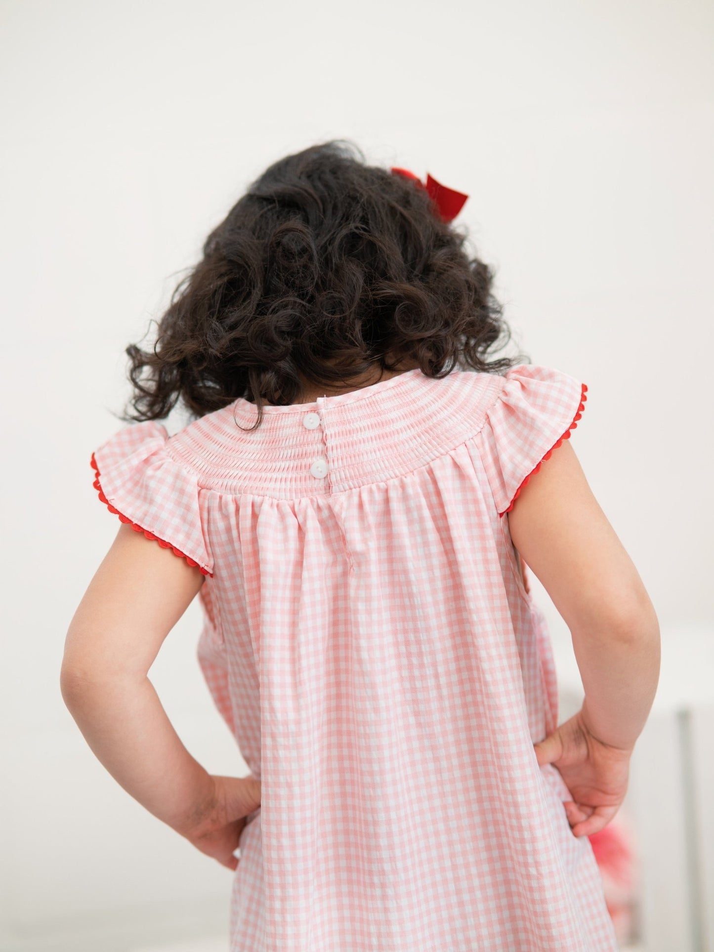 Baby Girls Strawberry Embroidered Plaid Smocked Dress - Abbies Place