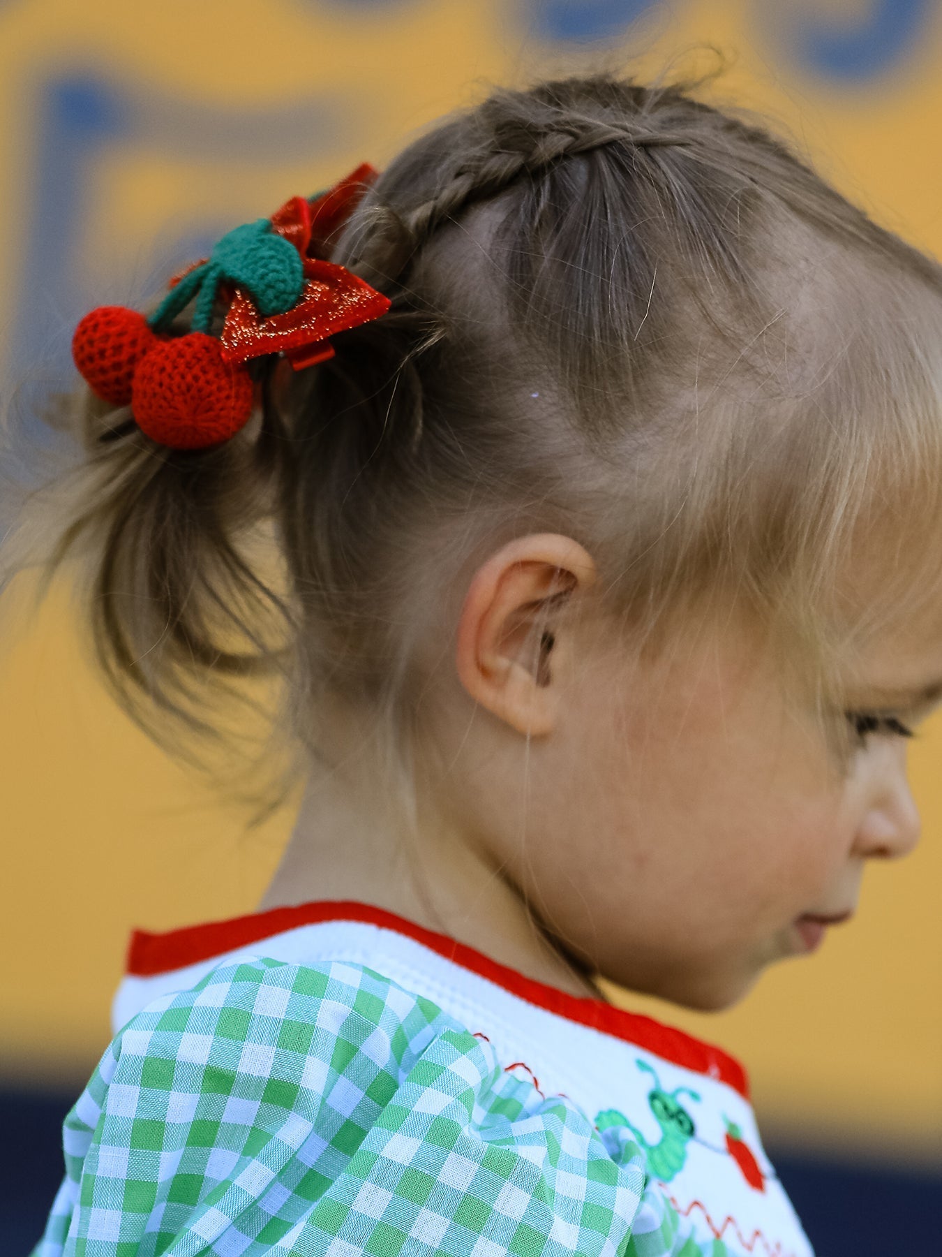 Back To School Girls Green Plaid Smocking Dress - Abbies Place