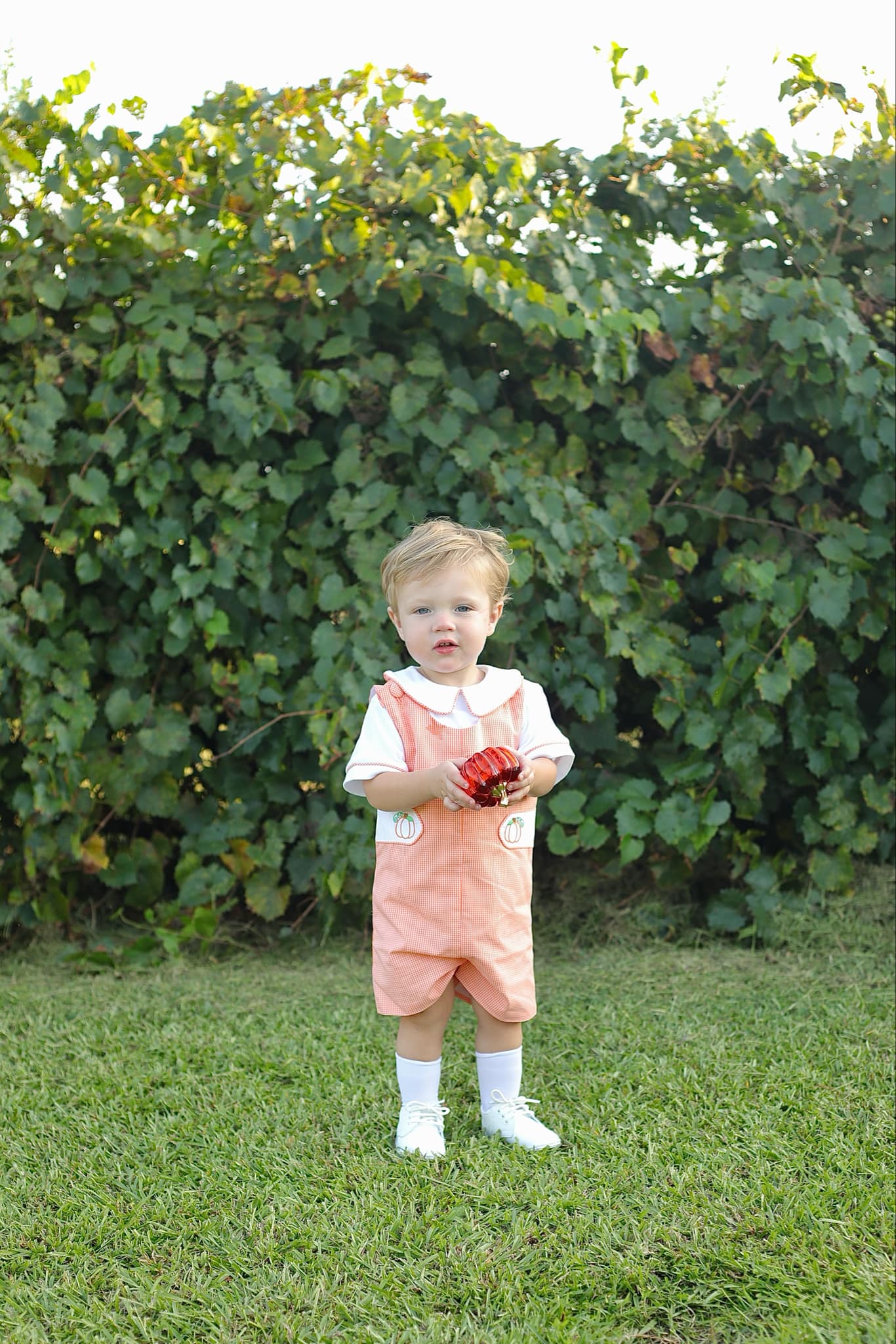 Proper Pumpkins Orange Gingham Shortall and Shirt Set with Pumpkin Embroidered Tabs - Abbies Place