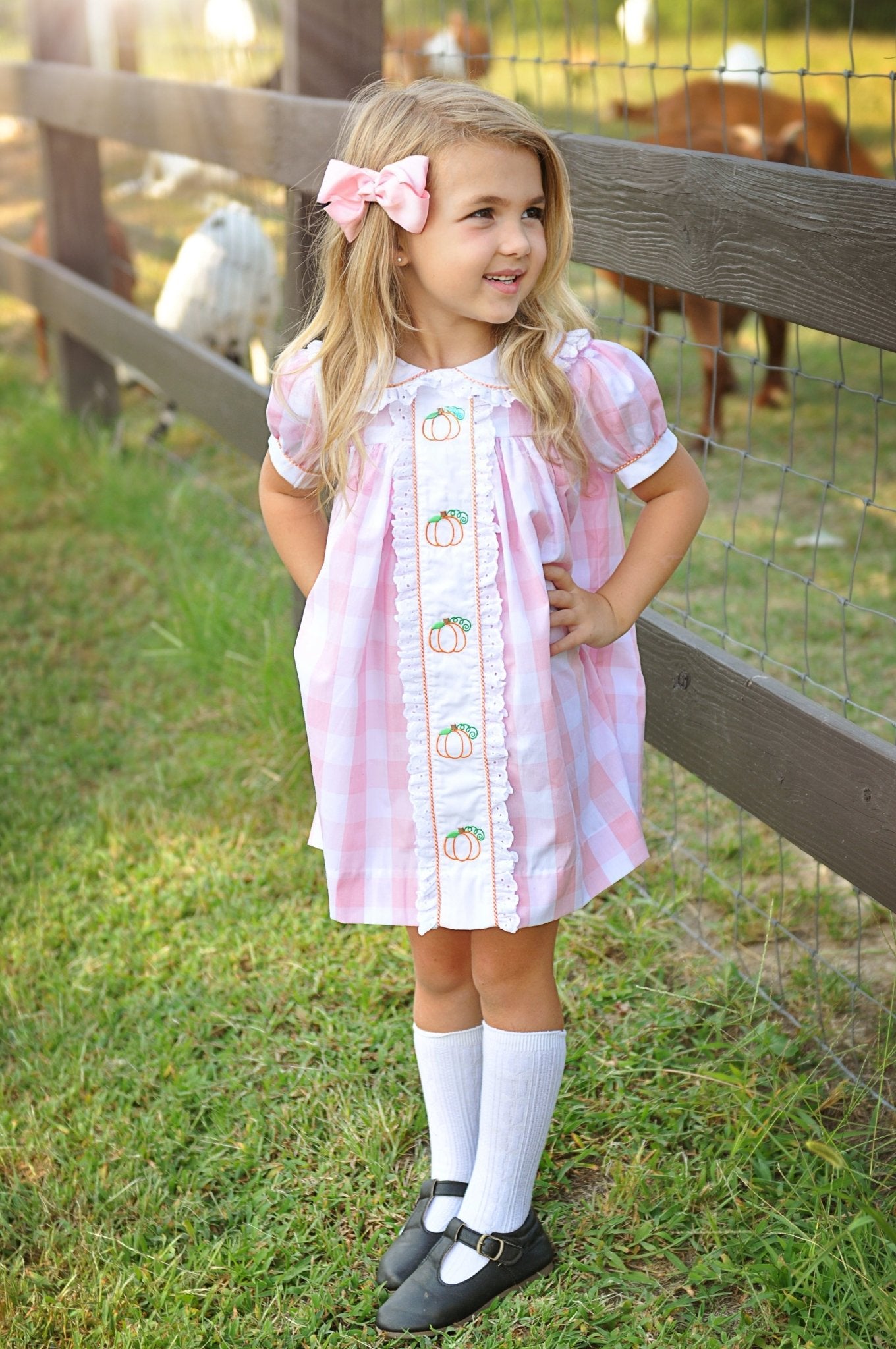 Proper Pumpkins Pink Gingham A-Line Dress with Pumpkin Embroidery - Abbies Place