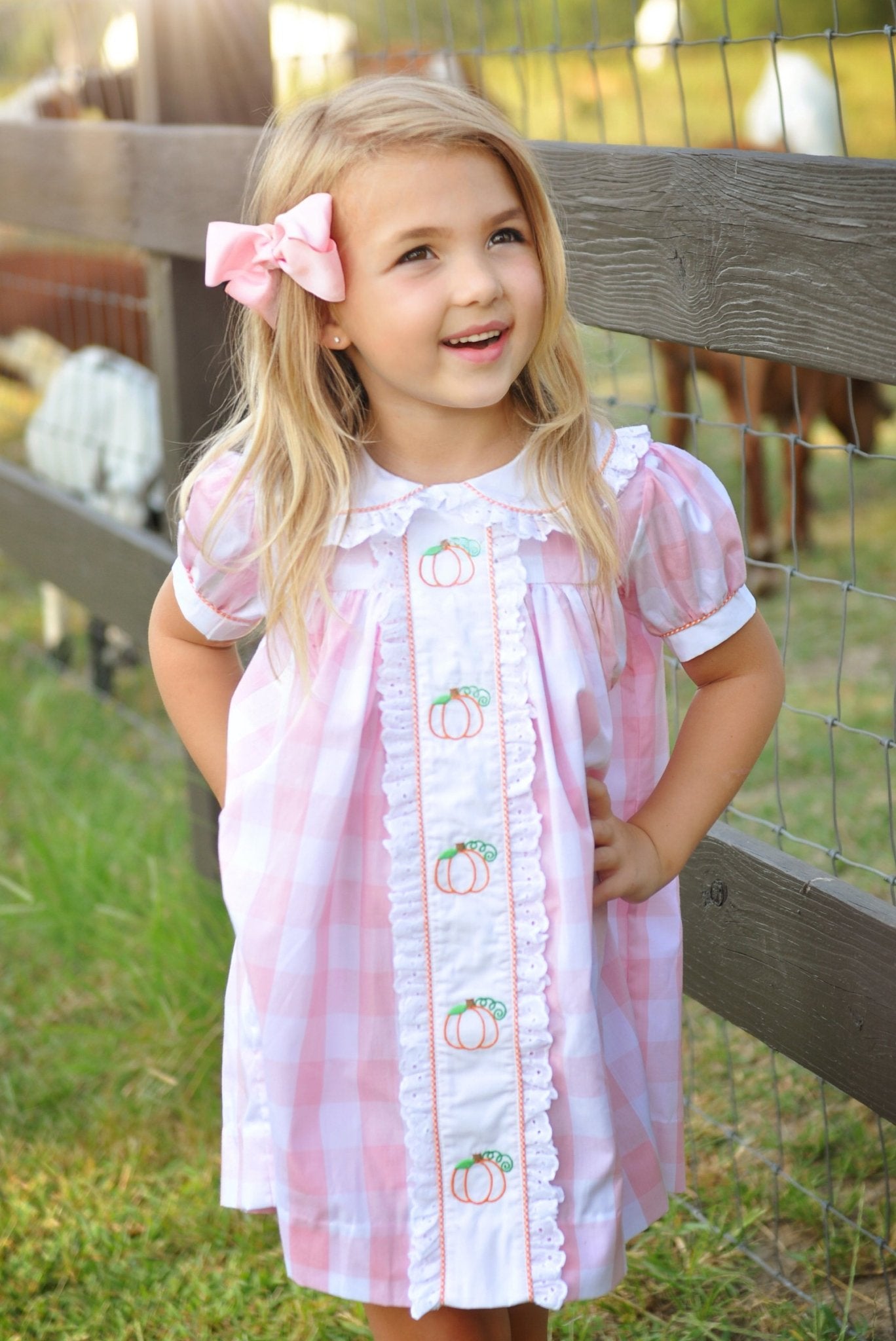 Proper Pumpkins Pink Gingham A-Line Dress with Pumpkin Embroidery - Abbies Place