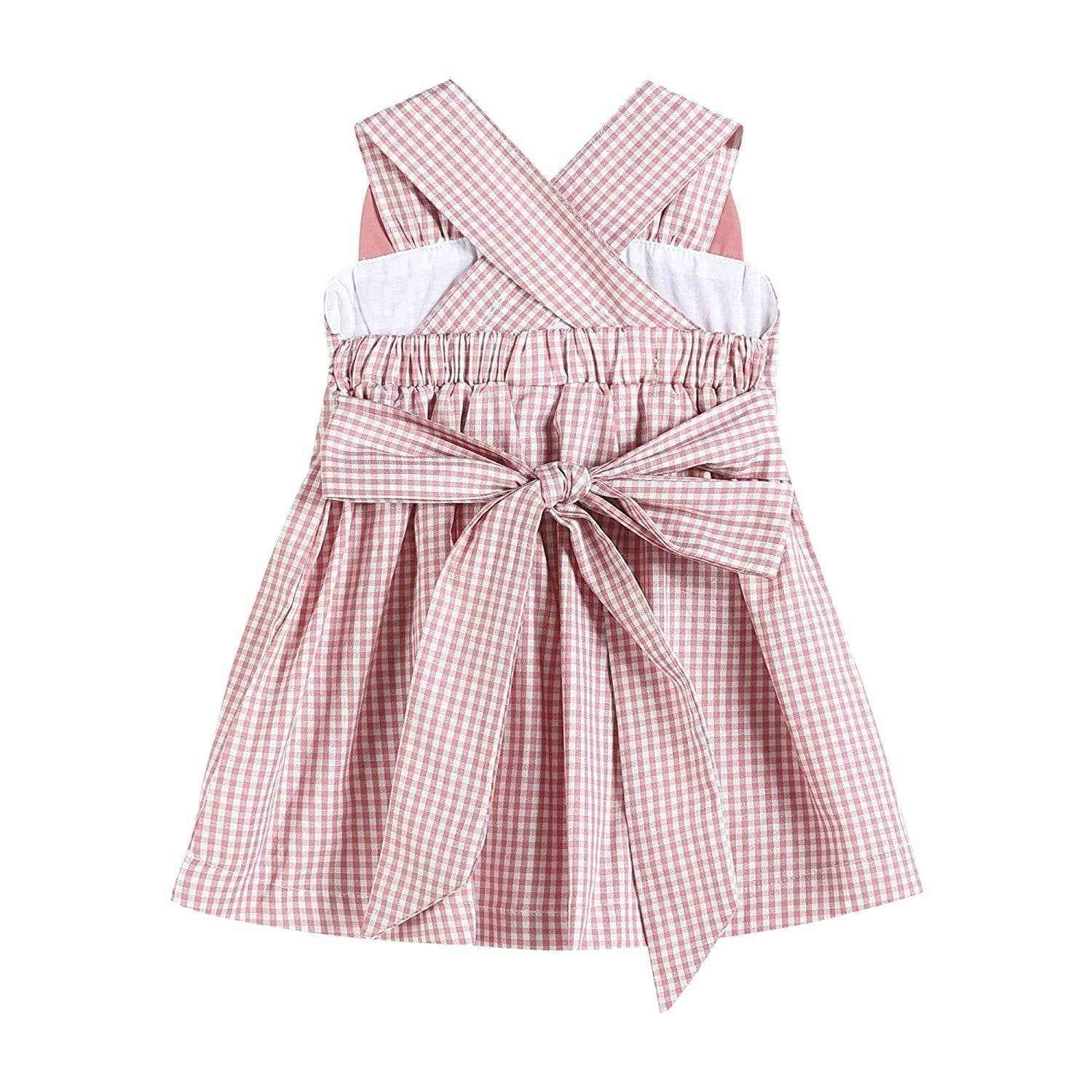 Rose Gingham Little Piggy Sleeveless A-Line Dress - Abbies Place