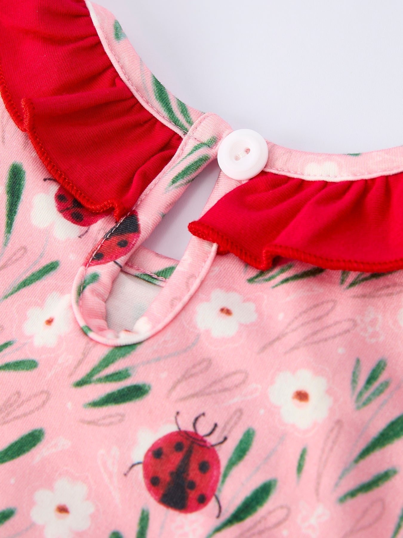 Spring Ladybug Smocked Embroidered Girls Dress - Abbies Place