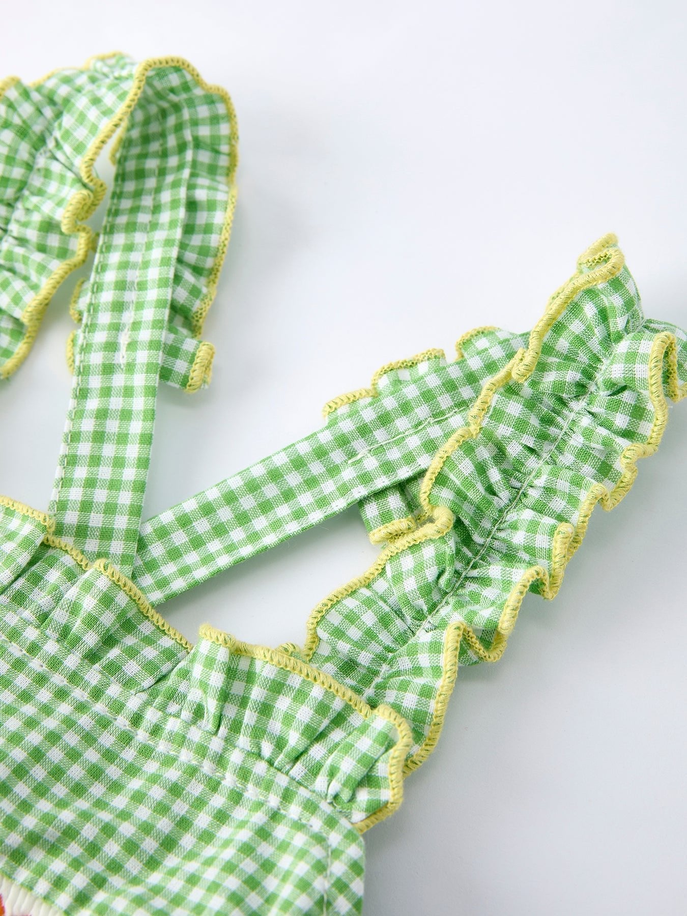 Spring Turtle Smocked Baby Girls Dress - Abbies Place